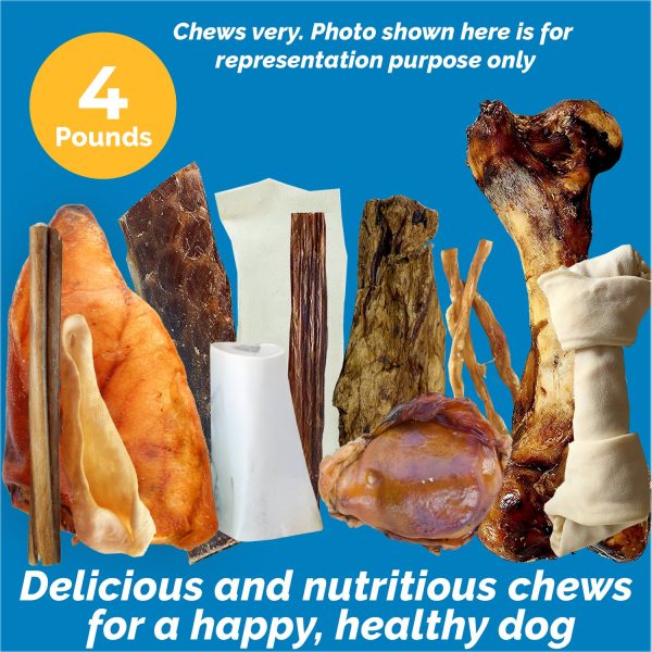 Assorted Dog Chews – Natural Mix Treats (2 or 4 lbs) - Image 7